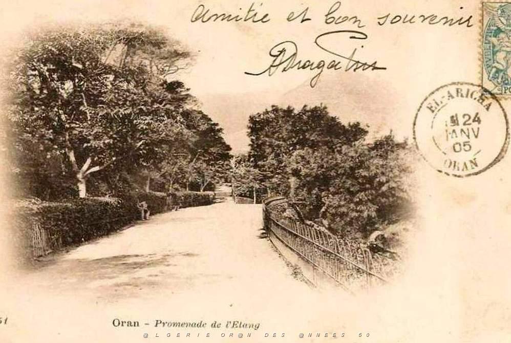 PL b - 086- Promenade de Letang B.JPG